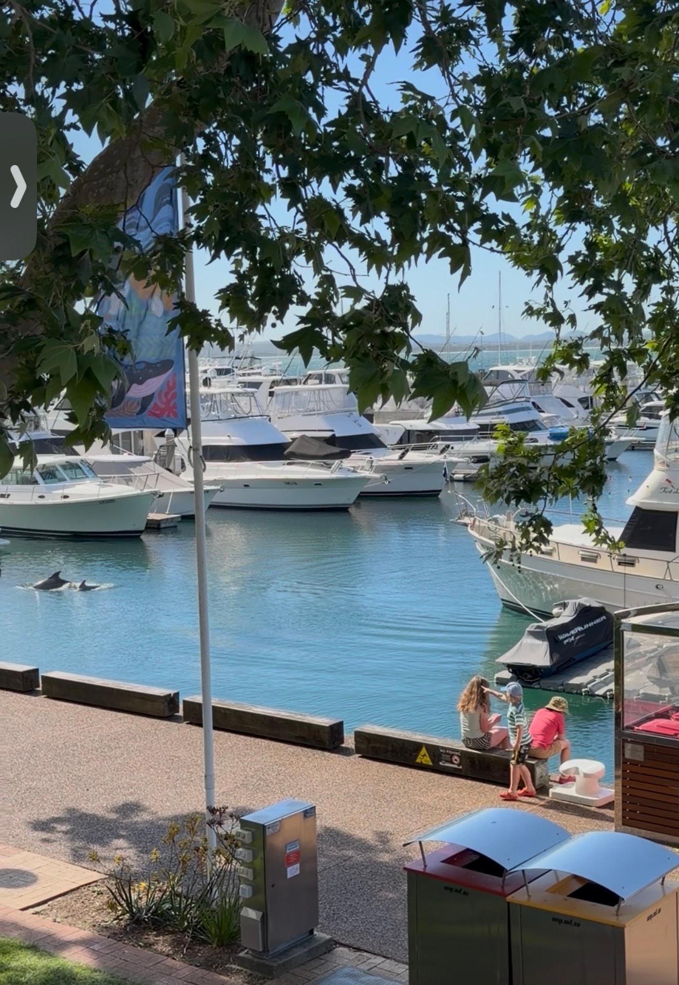 Nelson Bay Marina waterfront
